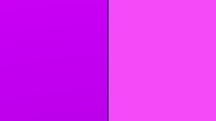 Purple - Fucshia